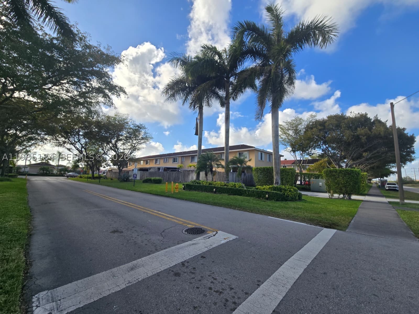 Miami photo 2