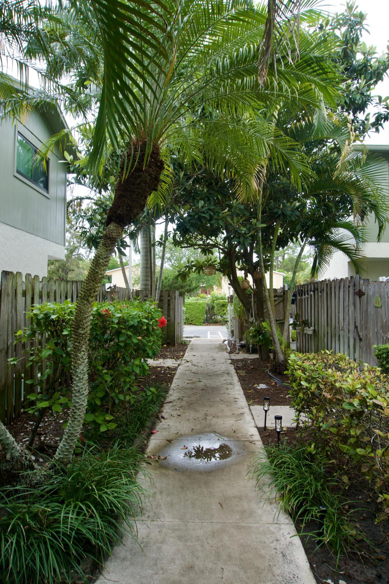 Palm Beach Gardens photo 1