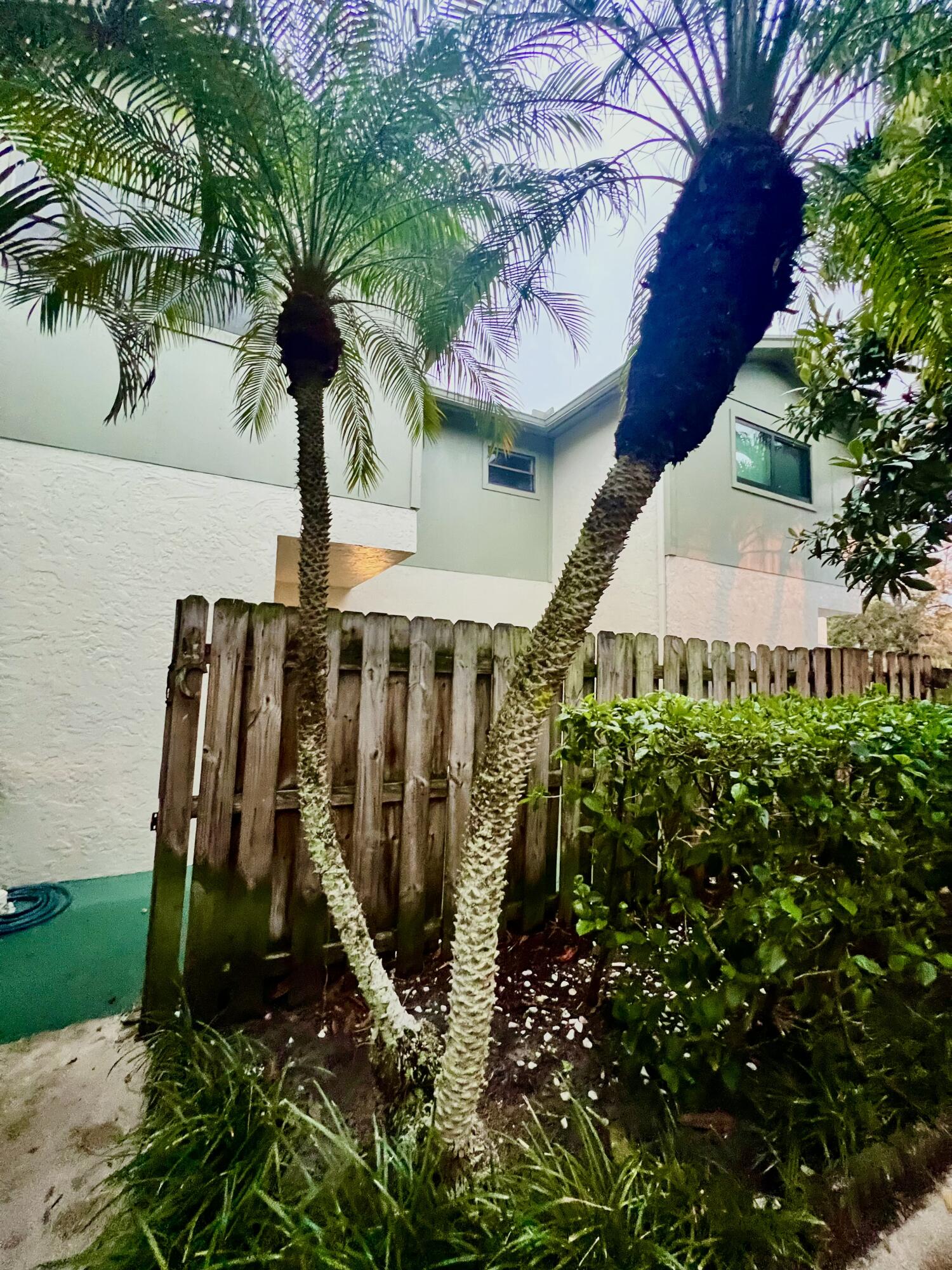 Palm Beach Gardens photo 2