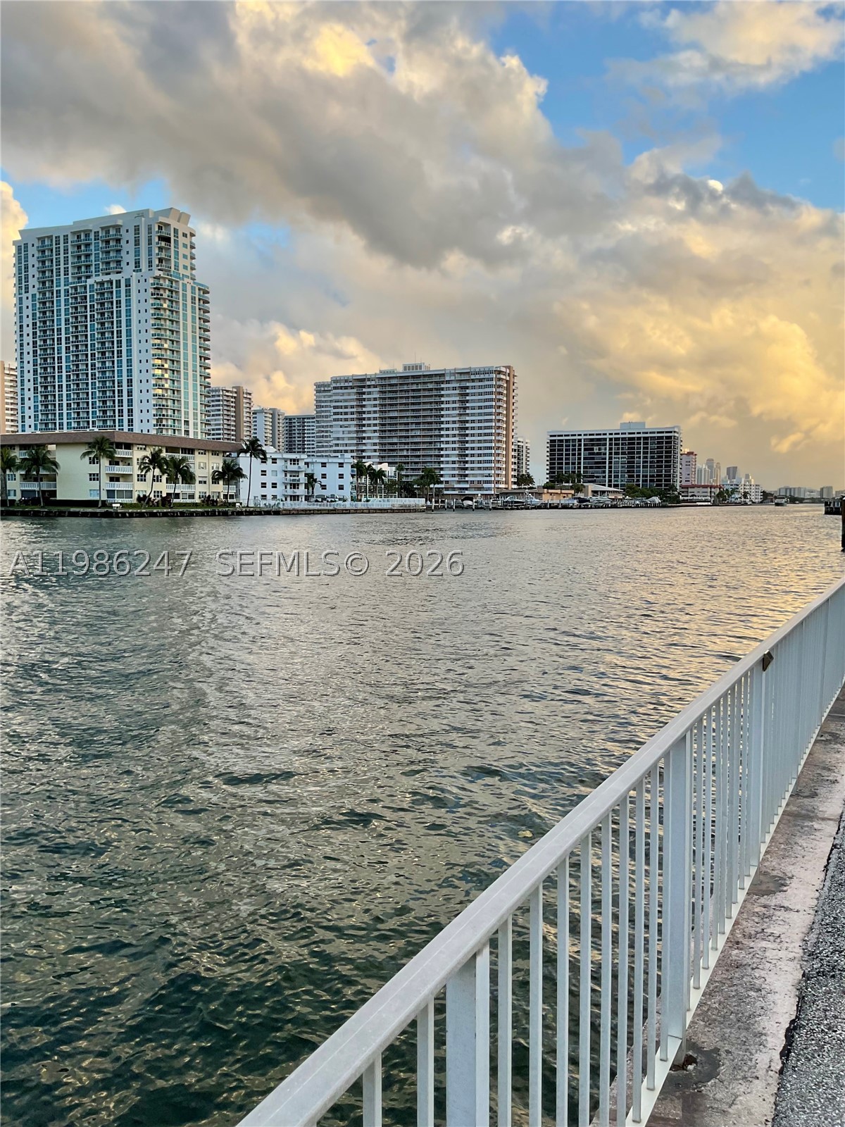 Hallandale Beach photo 5