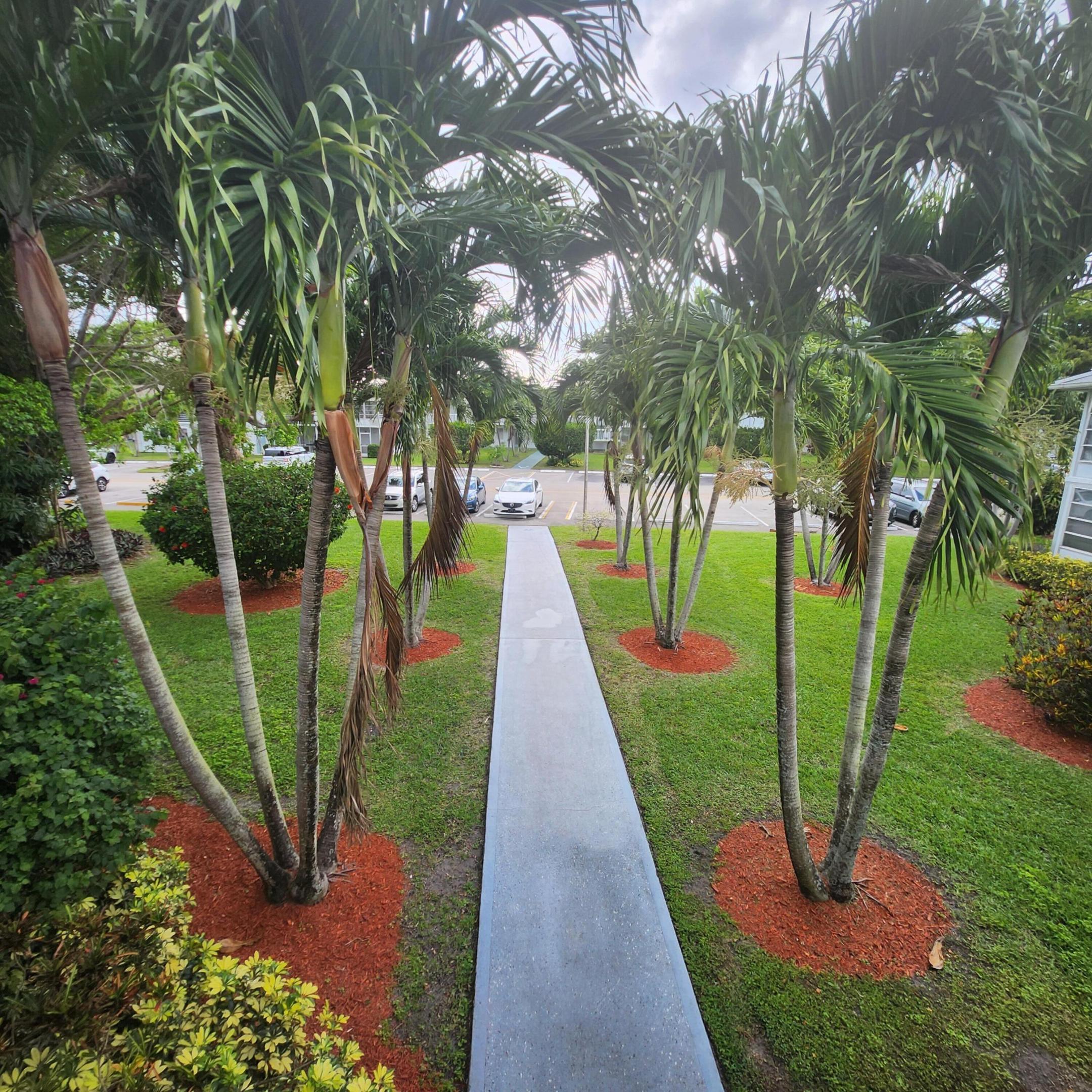 Deerfield Beach photo 3