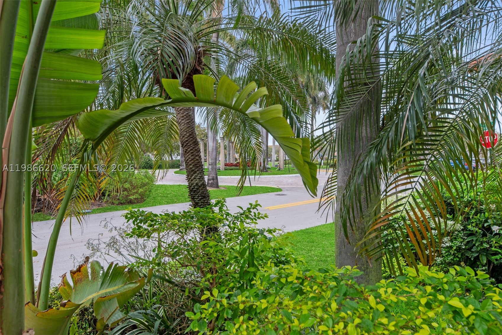 Hollywood photo 4
