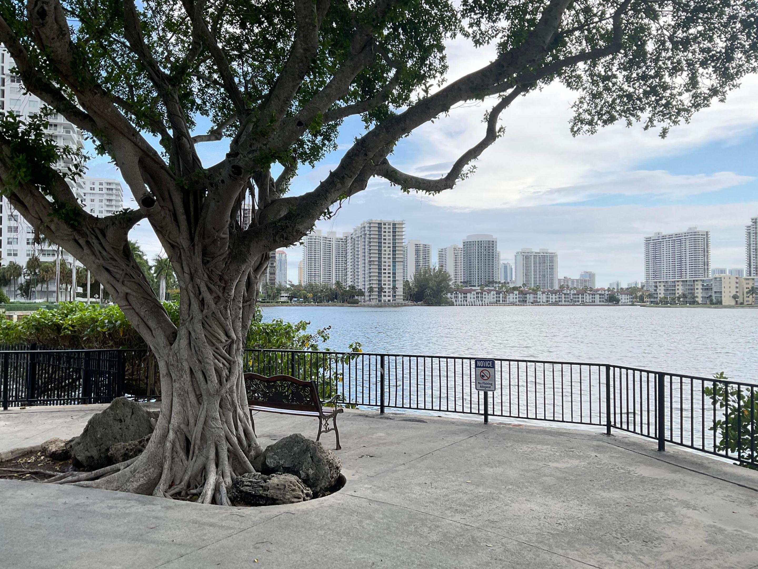 Aventura photo 5