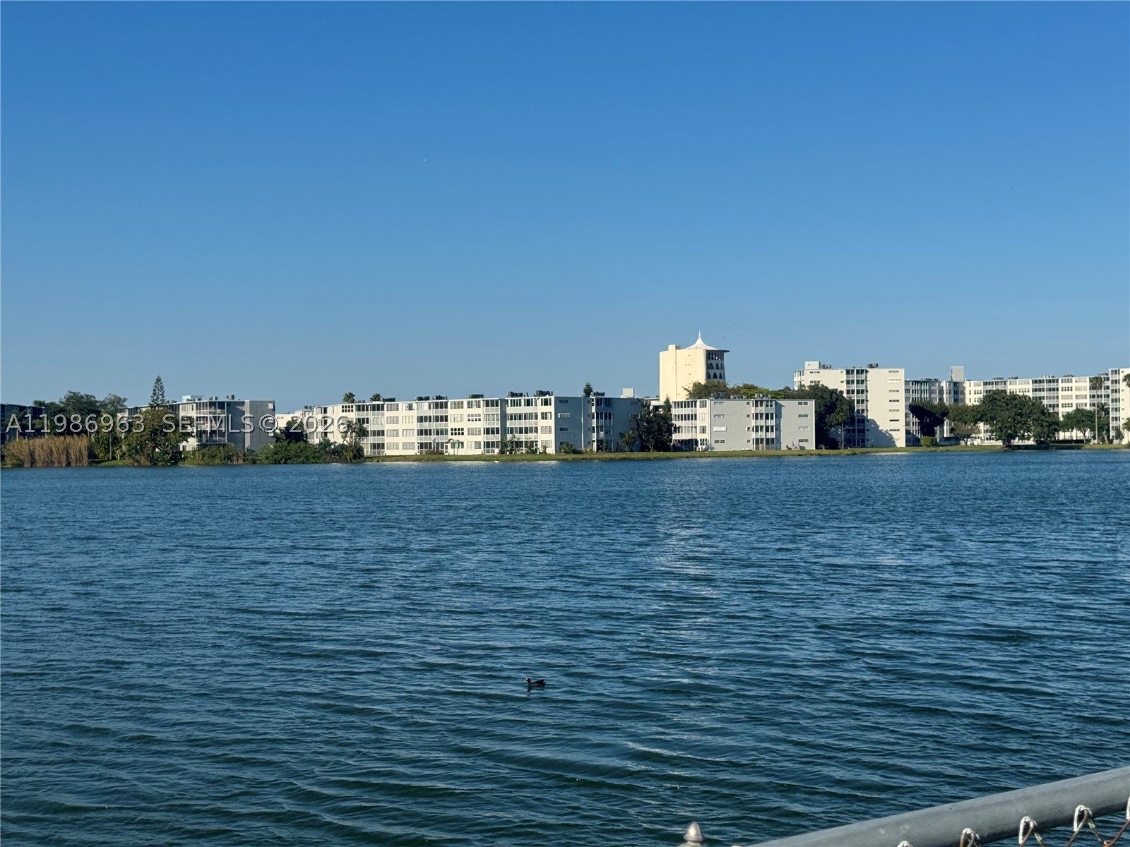 Miami photo 3