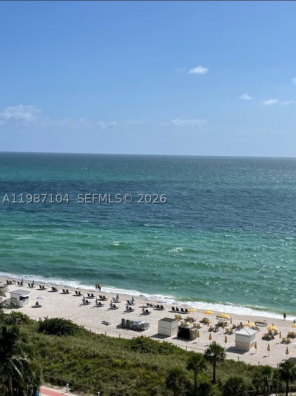 Miami Beach photo 3