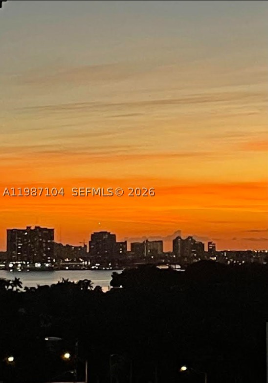 Miami Beach photo 4