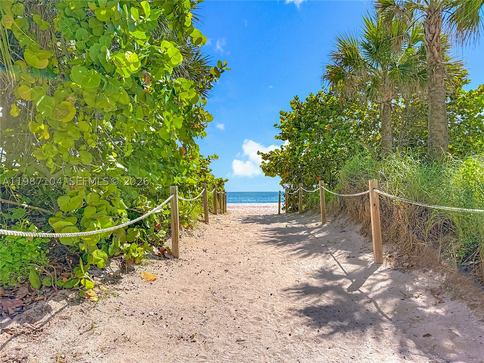 Miami Beach photo 5