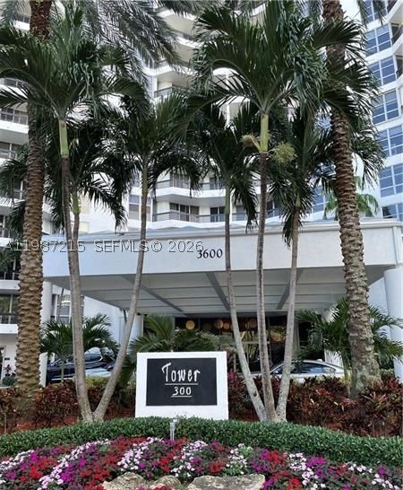 Aventura photo 1