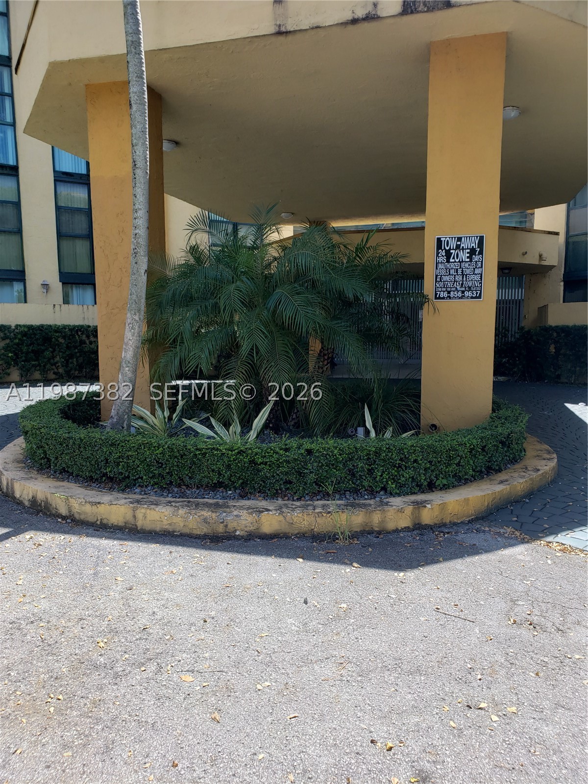 Miami photo 1