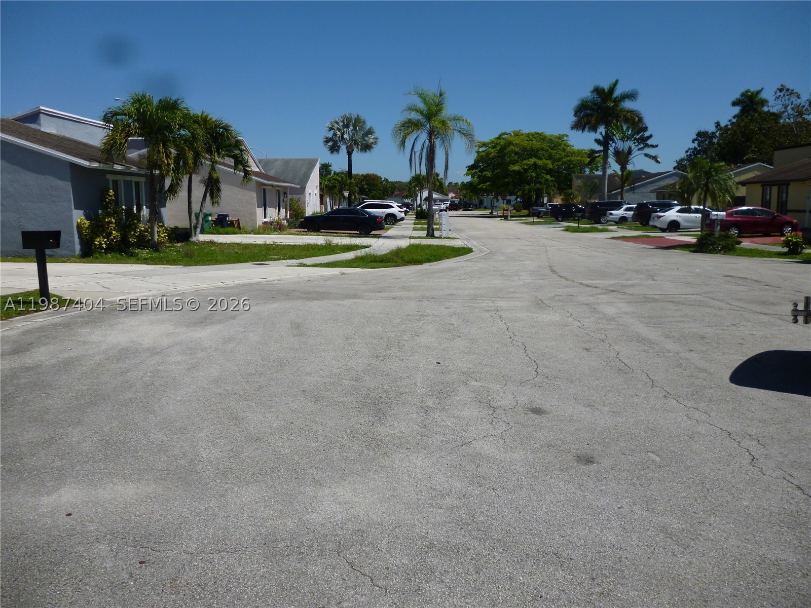 Miami photo 4