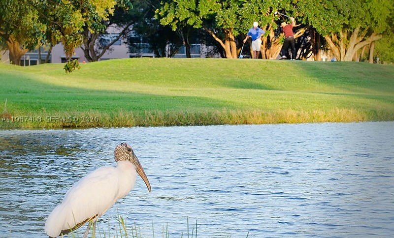 Pembroke Pines photo 4