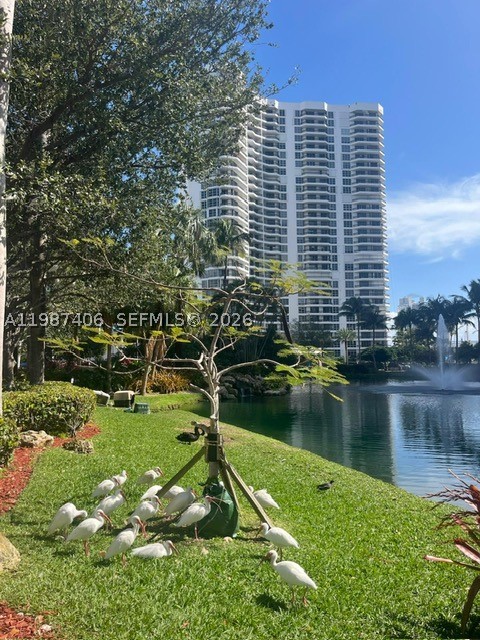 Aventura photo 4
