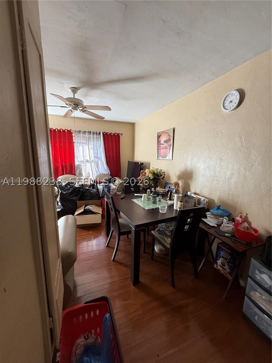 North Miami photo 4