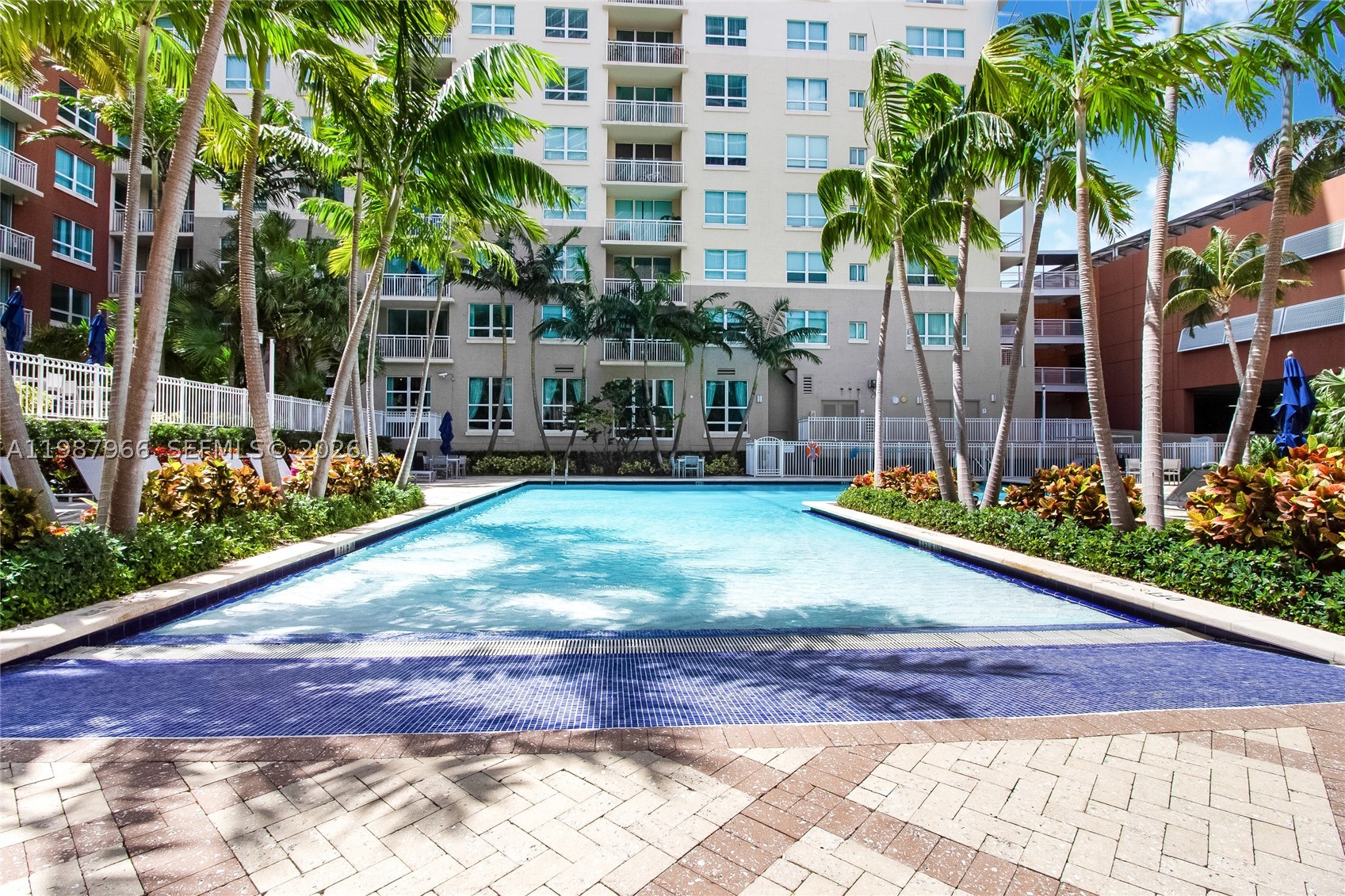 Miami photo 3