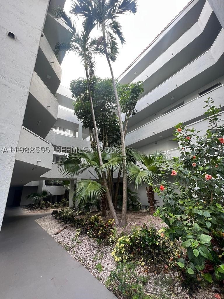 Miami photo 2