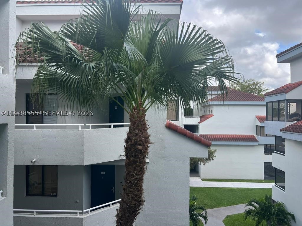 Miami photo 3