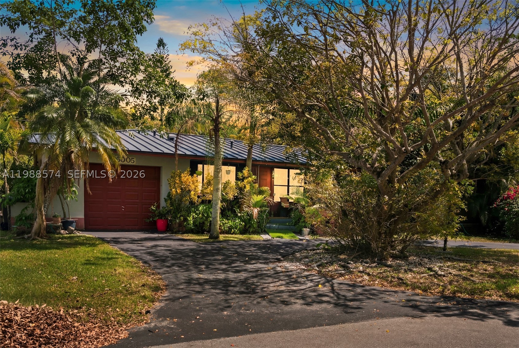 South Miami photo 1
