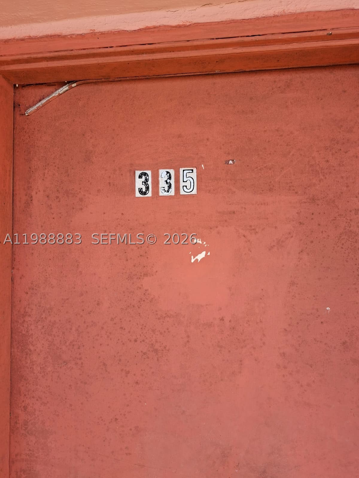 Miami photo 1