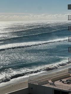 Palm Beach photo 4