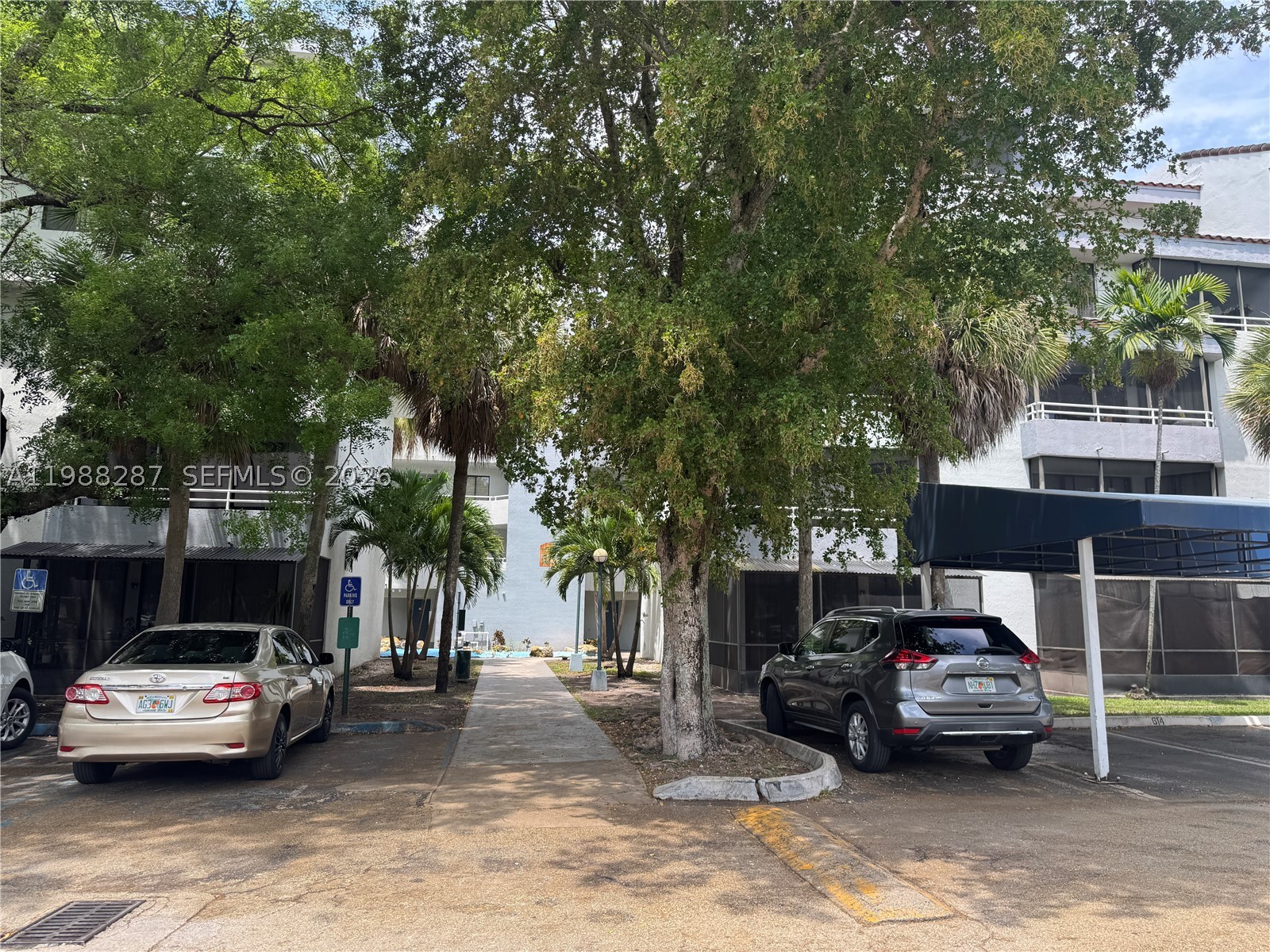 Miami photo 3