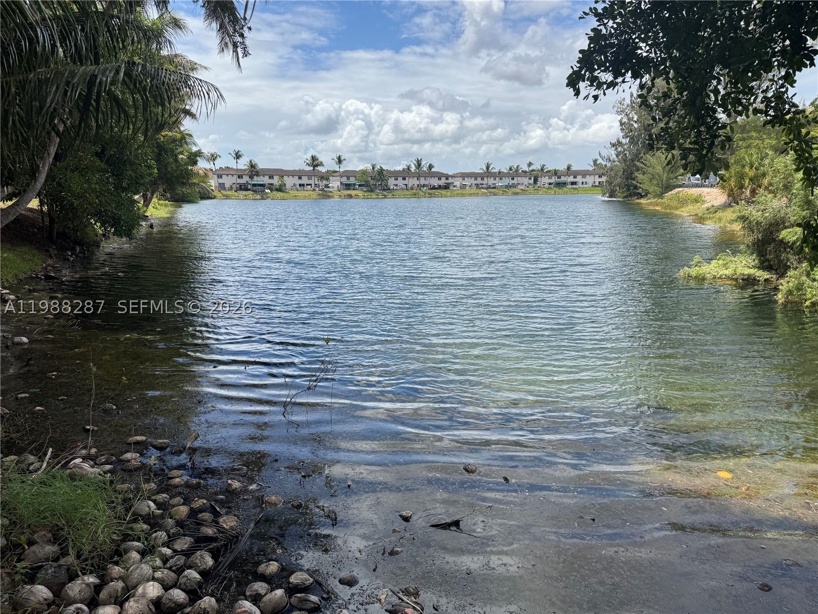 Miami photo 5