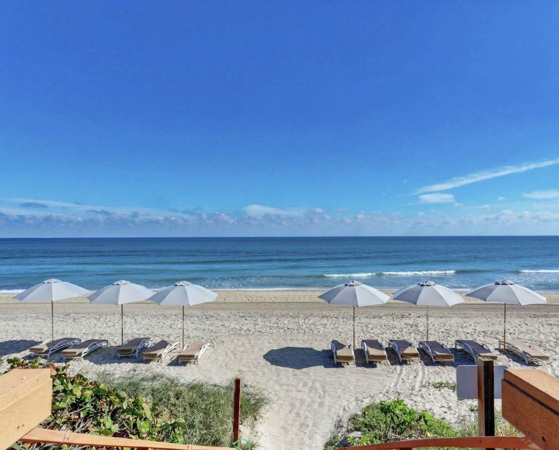 Palm Beach photo 1