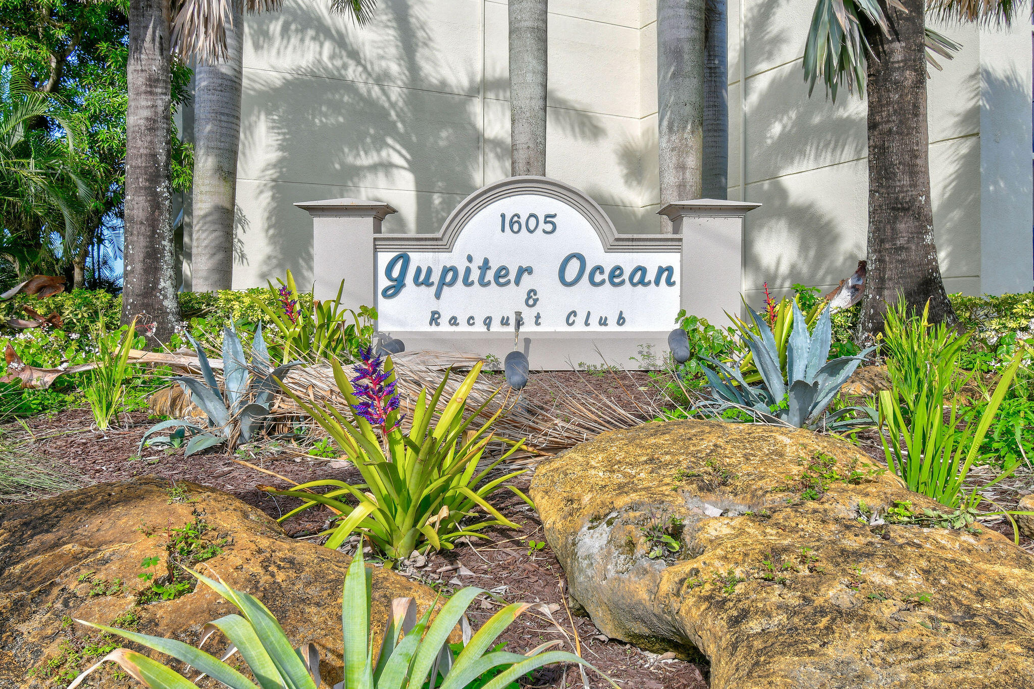 Jupiter photo 1