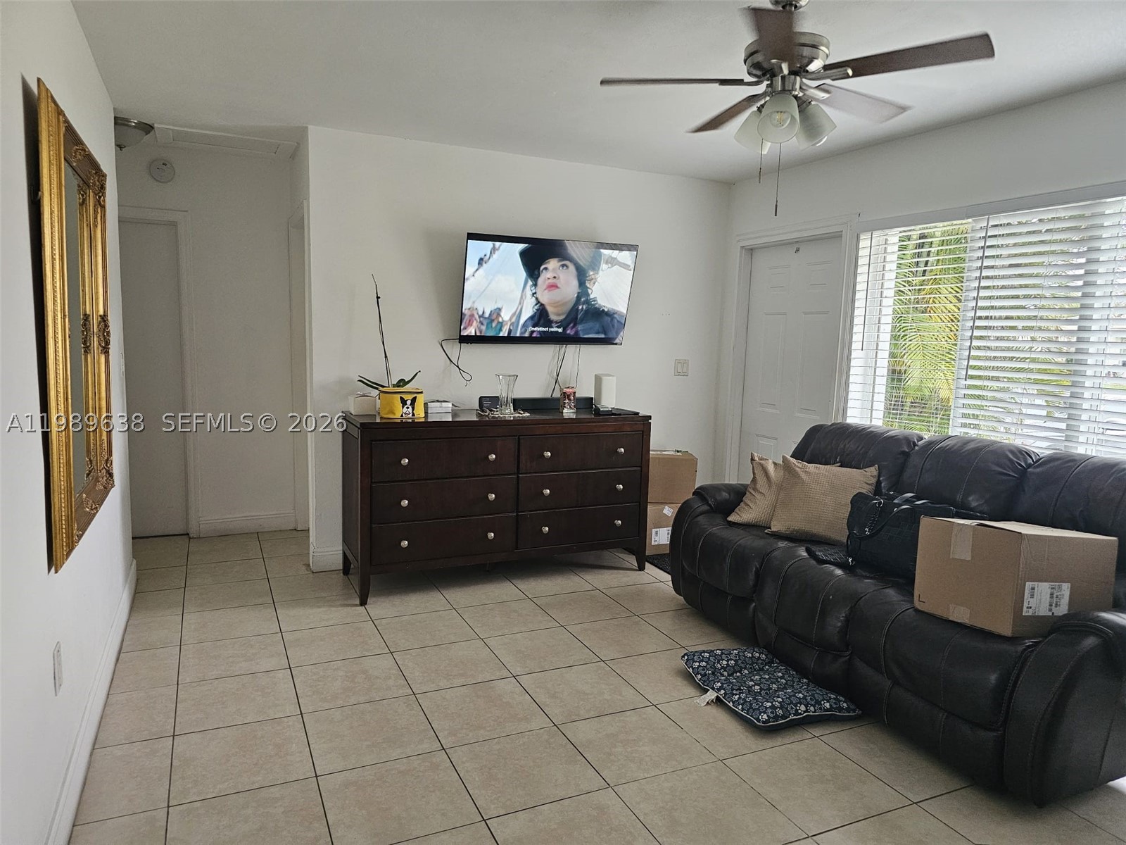 Palm Beach photo 4