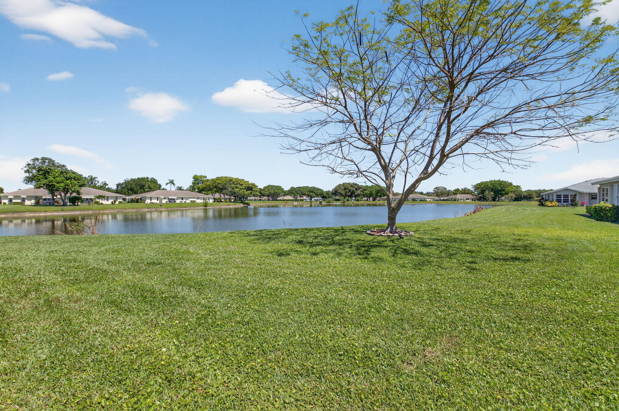Delray Beach photo 3
