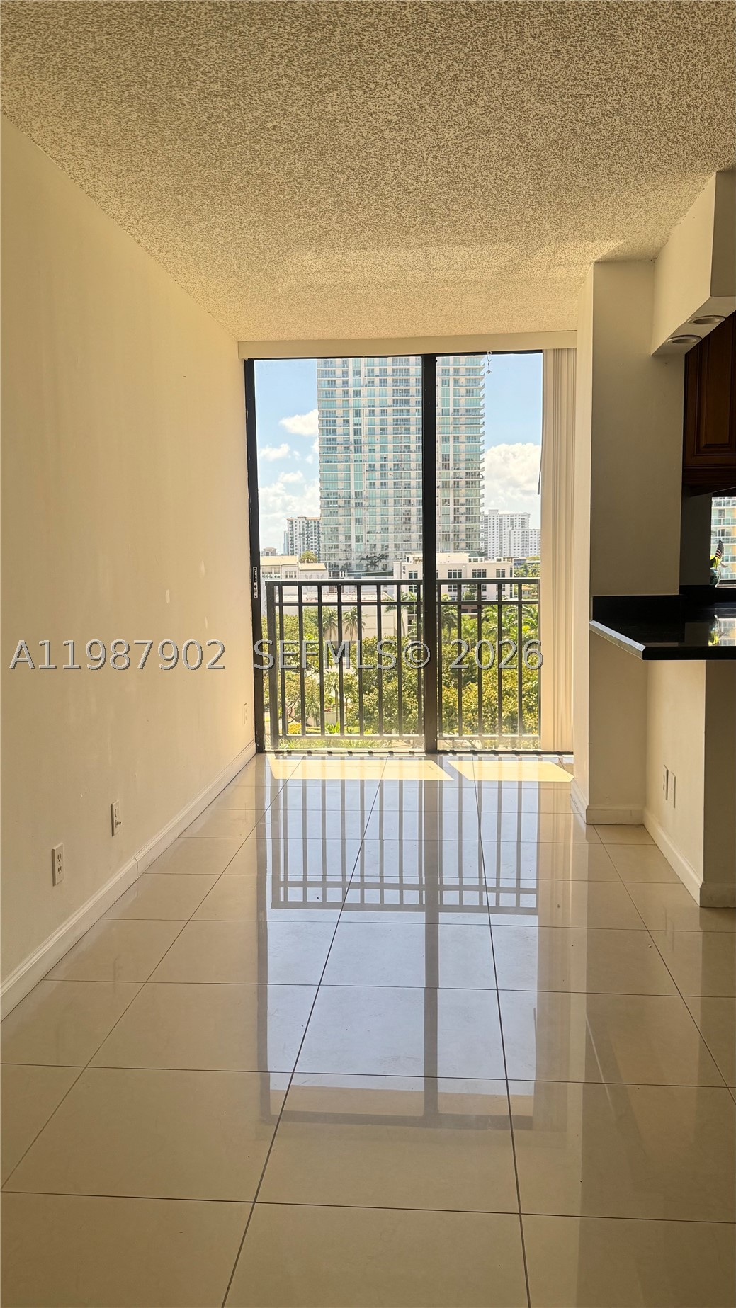 Sunny Isles Beach photo 4