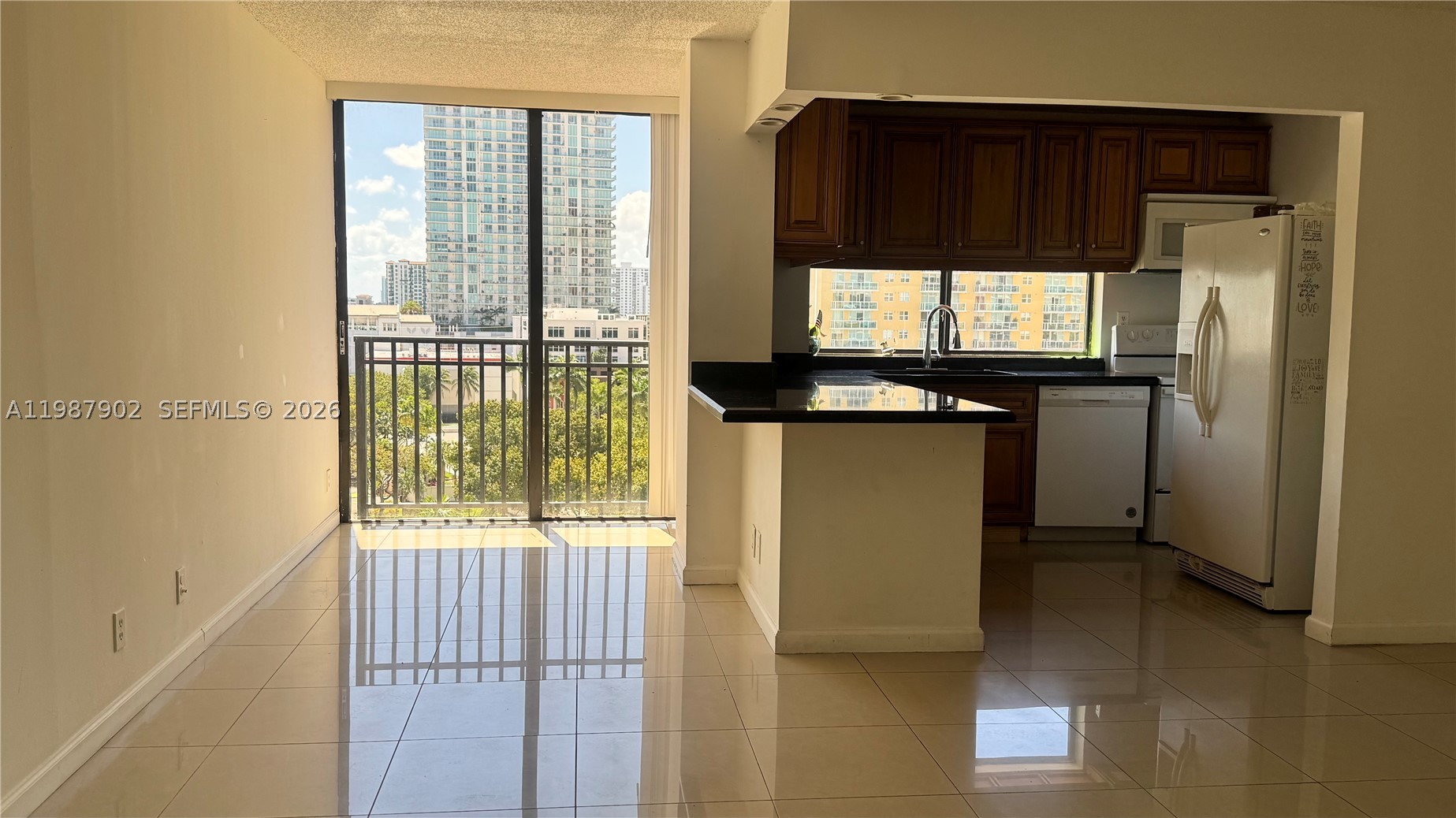 Sunny Isles Beach photo 5