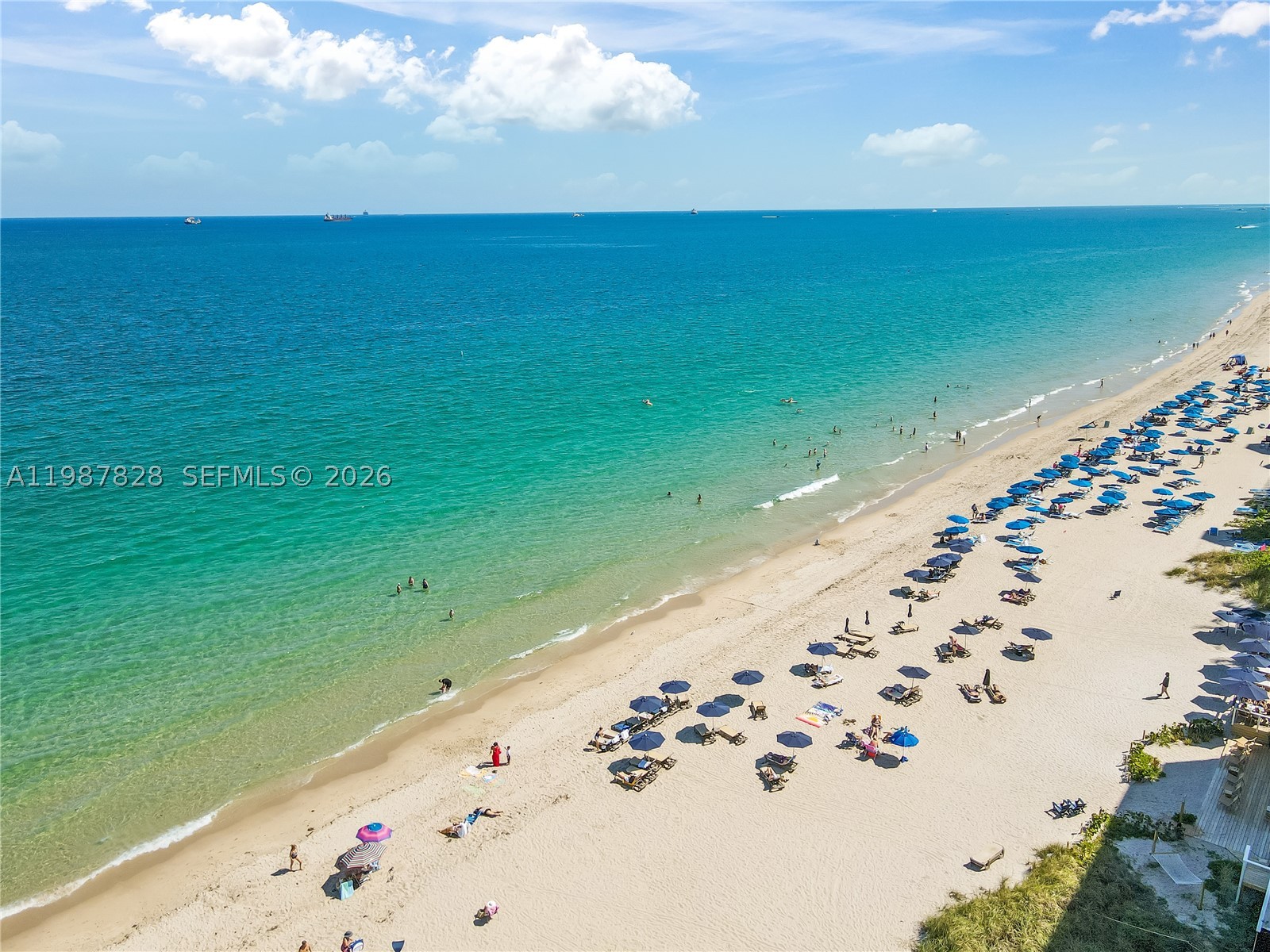 Fort Lauderdale photo 3