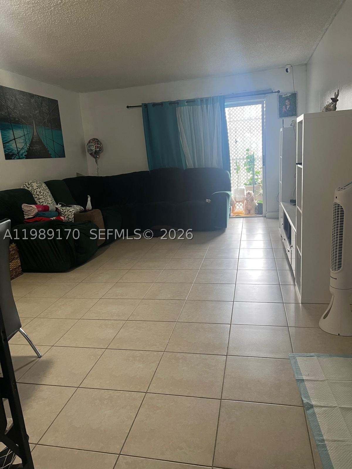 Hialeah photo 1