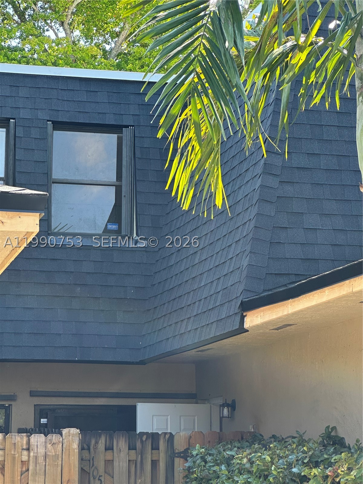 Miami photo 3