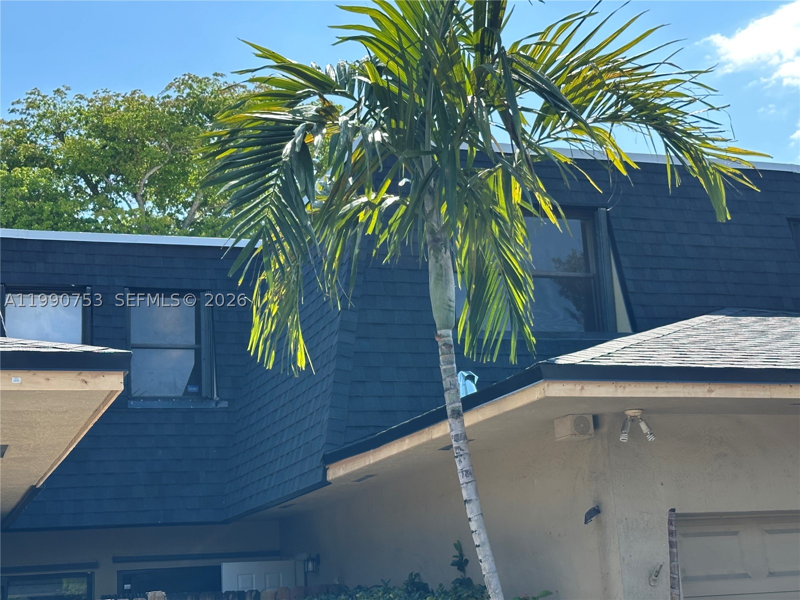 Miami photo 4
