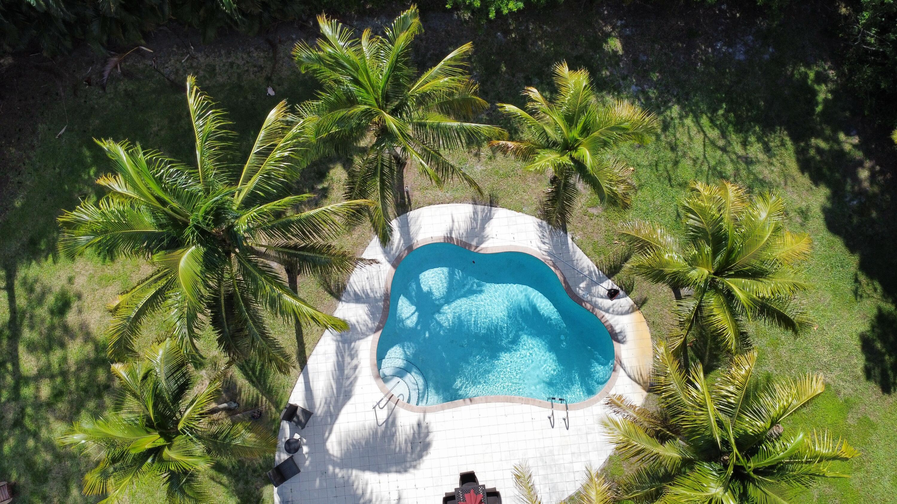Palm Beach Gardens photo 4