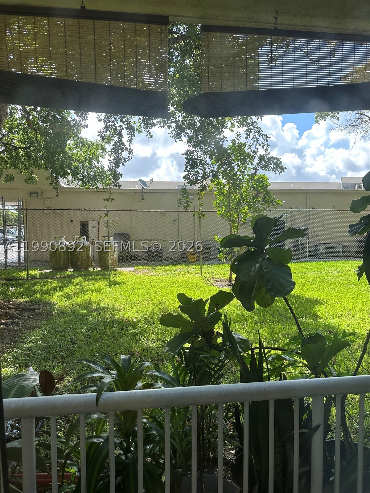 Miami photo 5