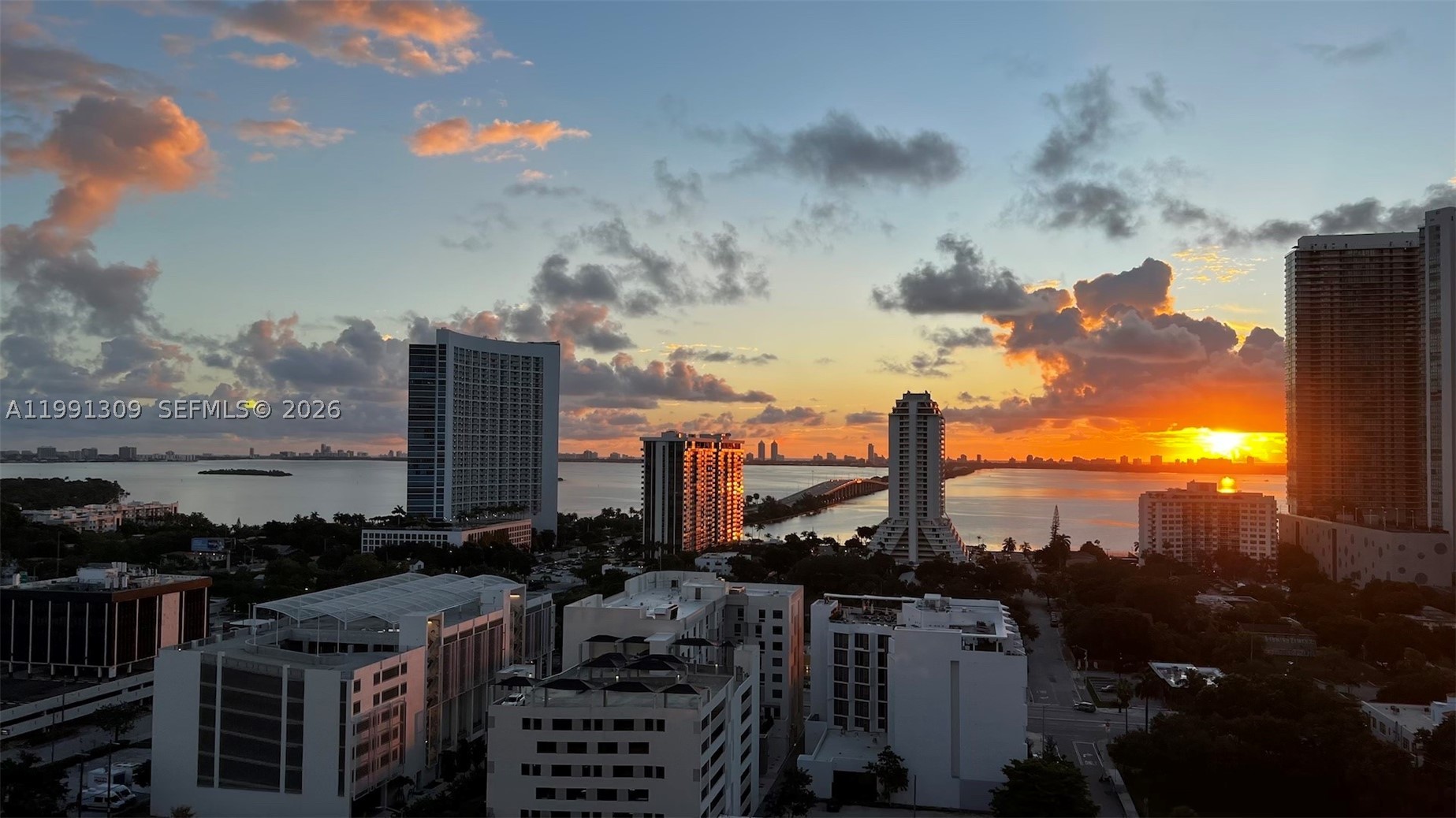 Miami photo 1