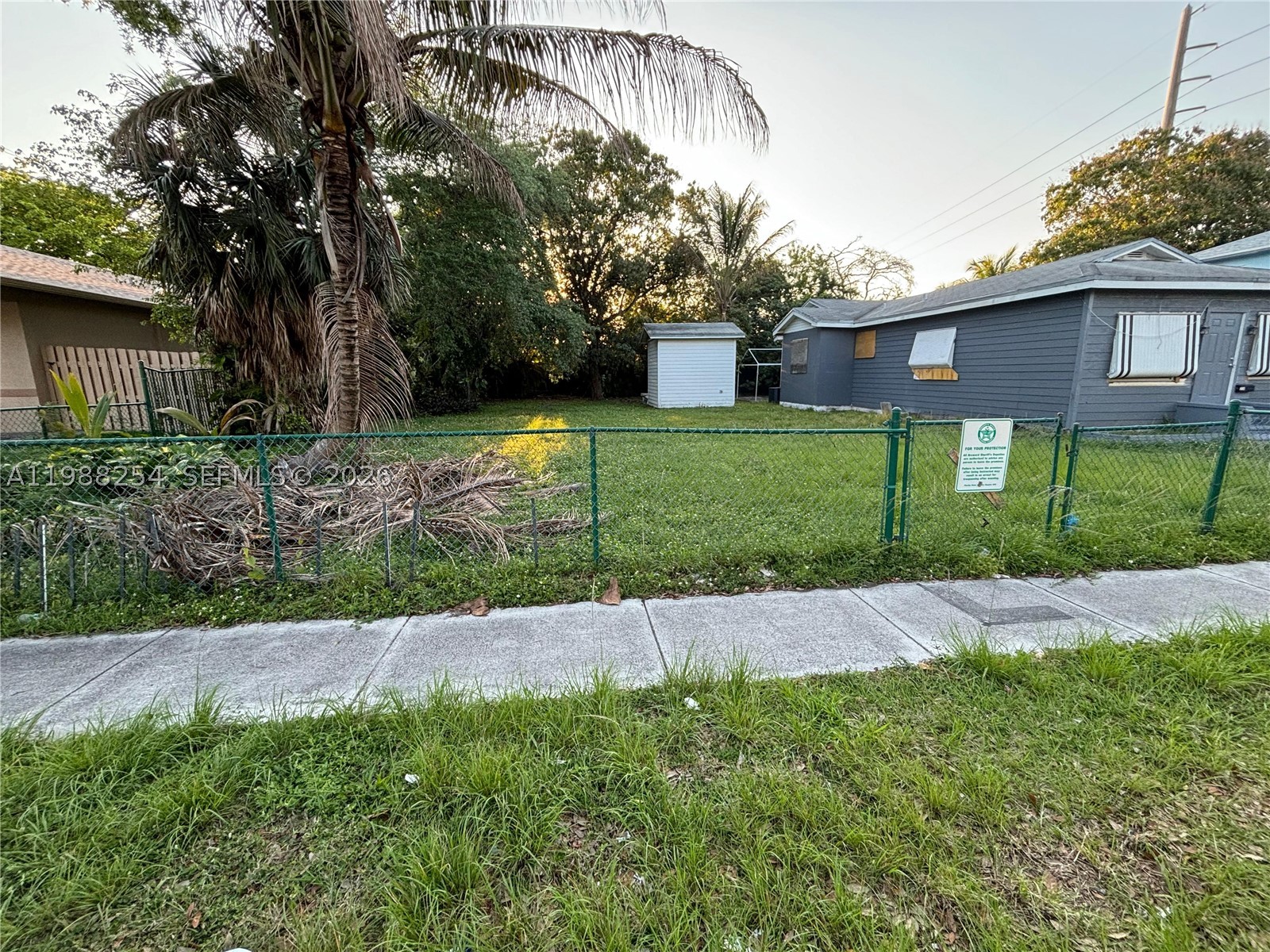 Dania Beach photo 2