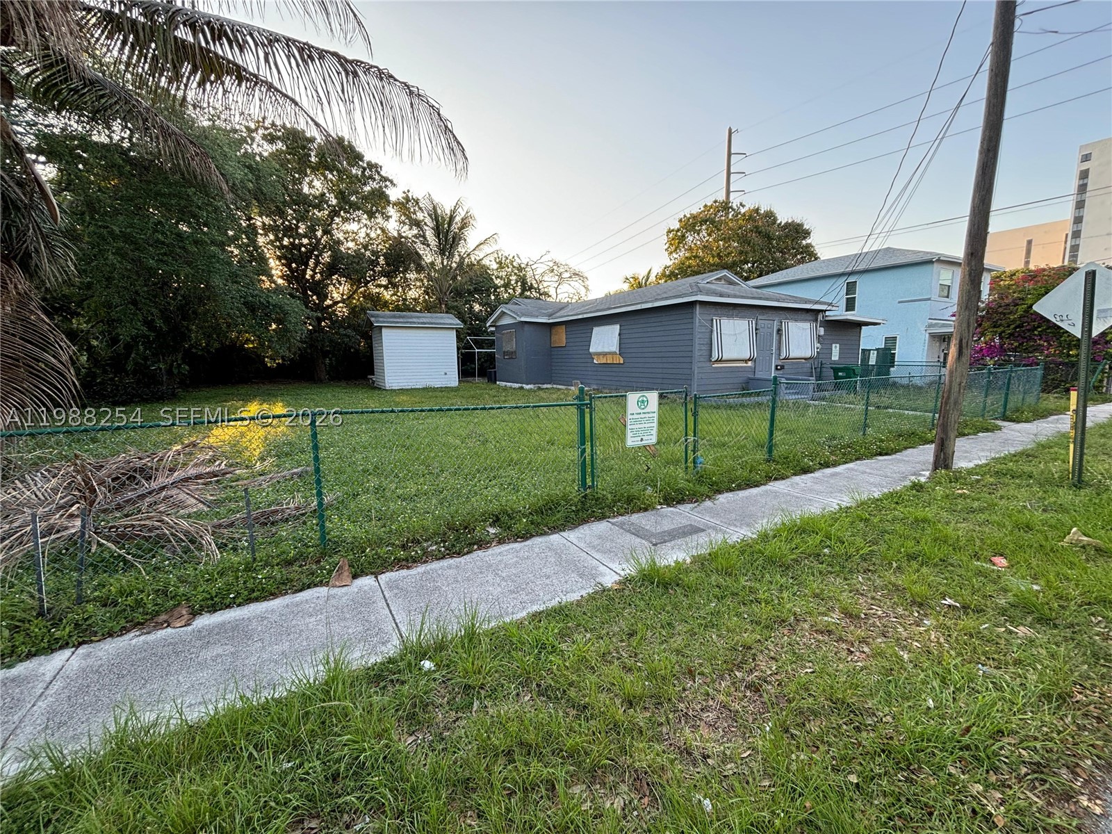 Dania Beach photo 5