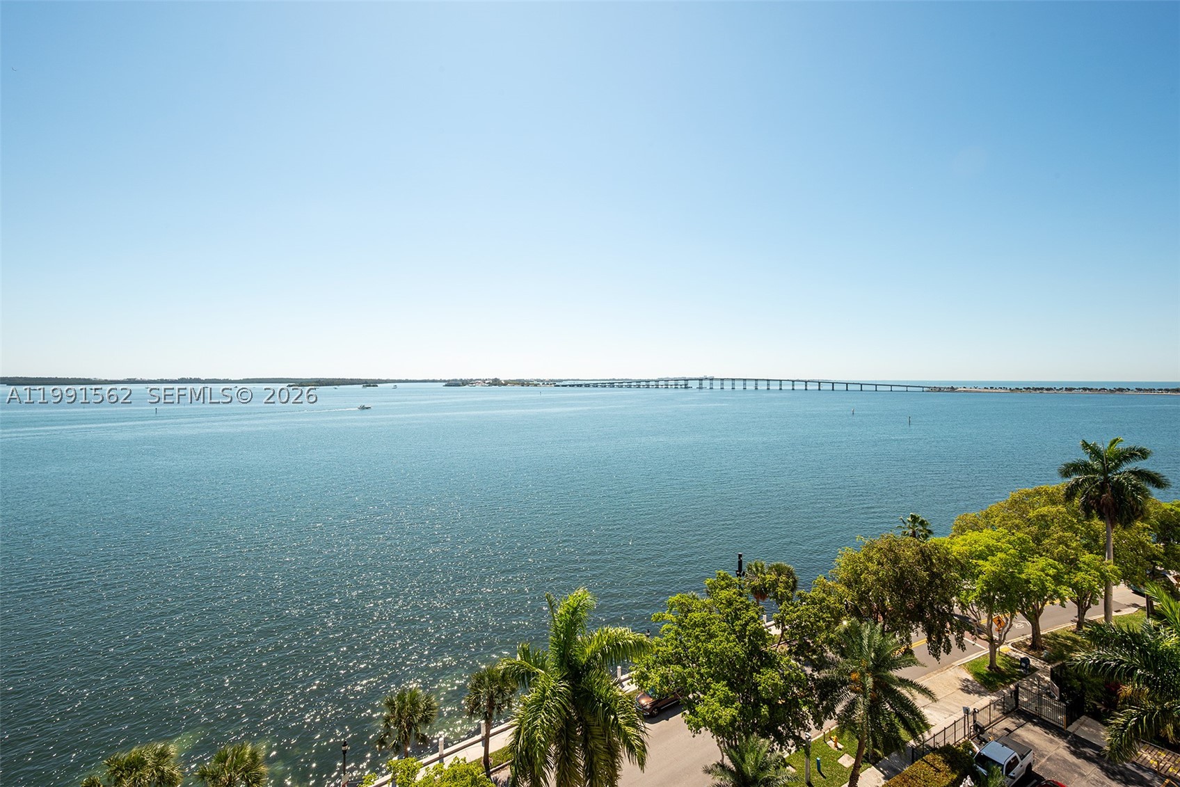 Miami photo 5