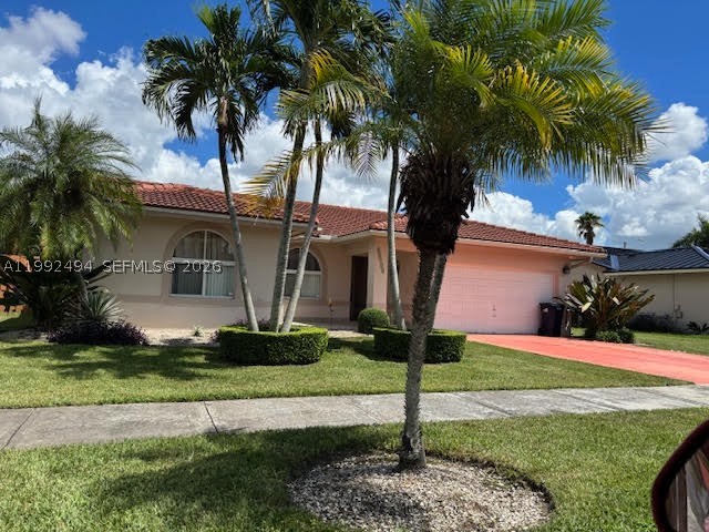 Miami photo 1