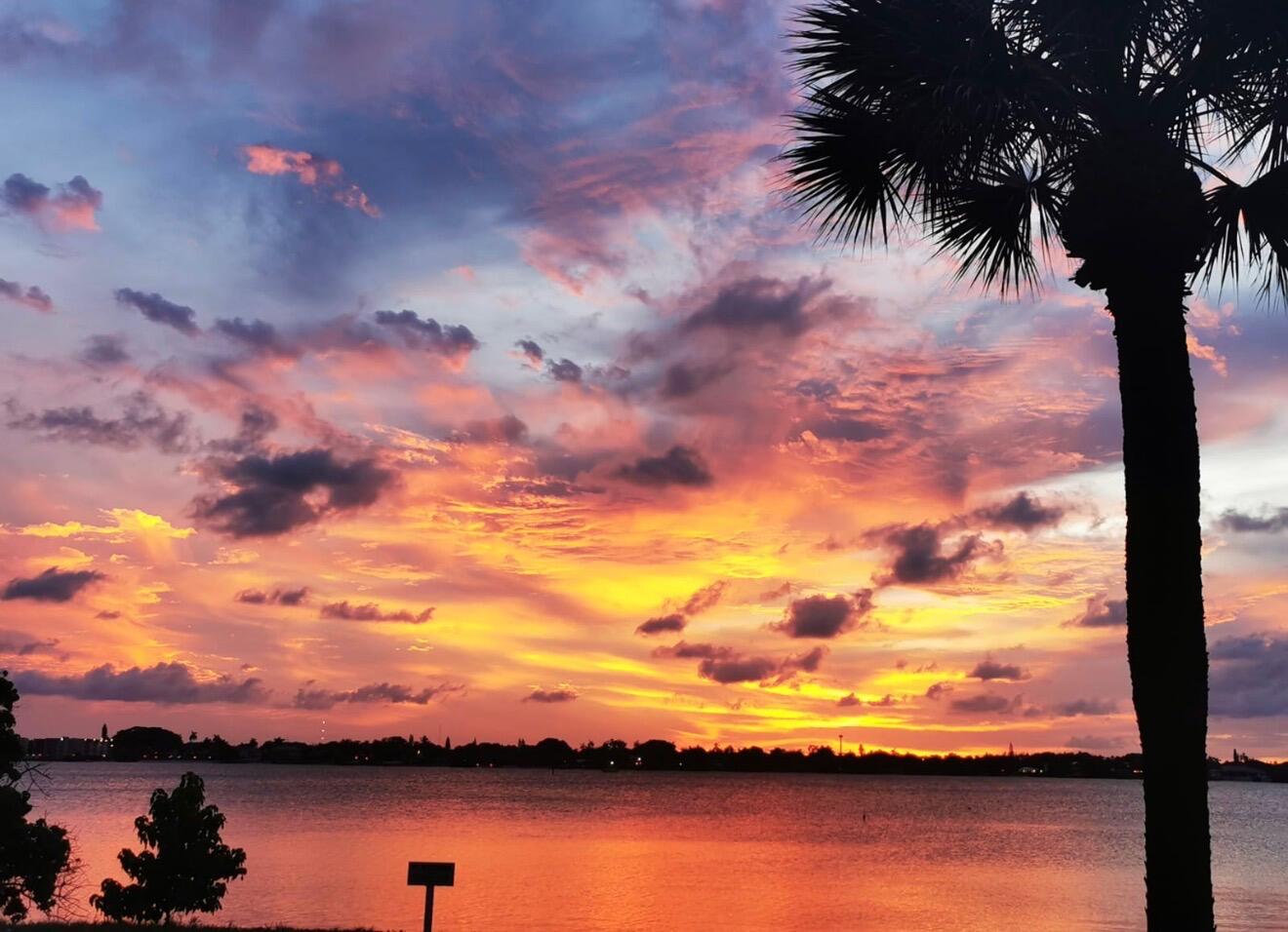 Palm Beach photo 2