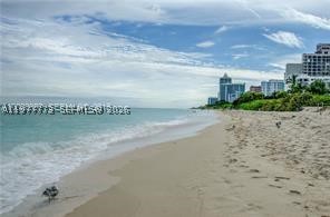 Miami Beach photo 3