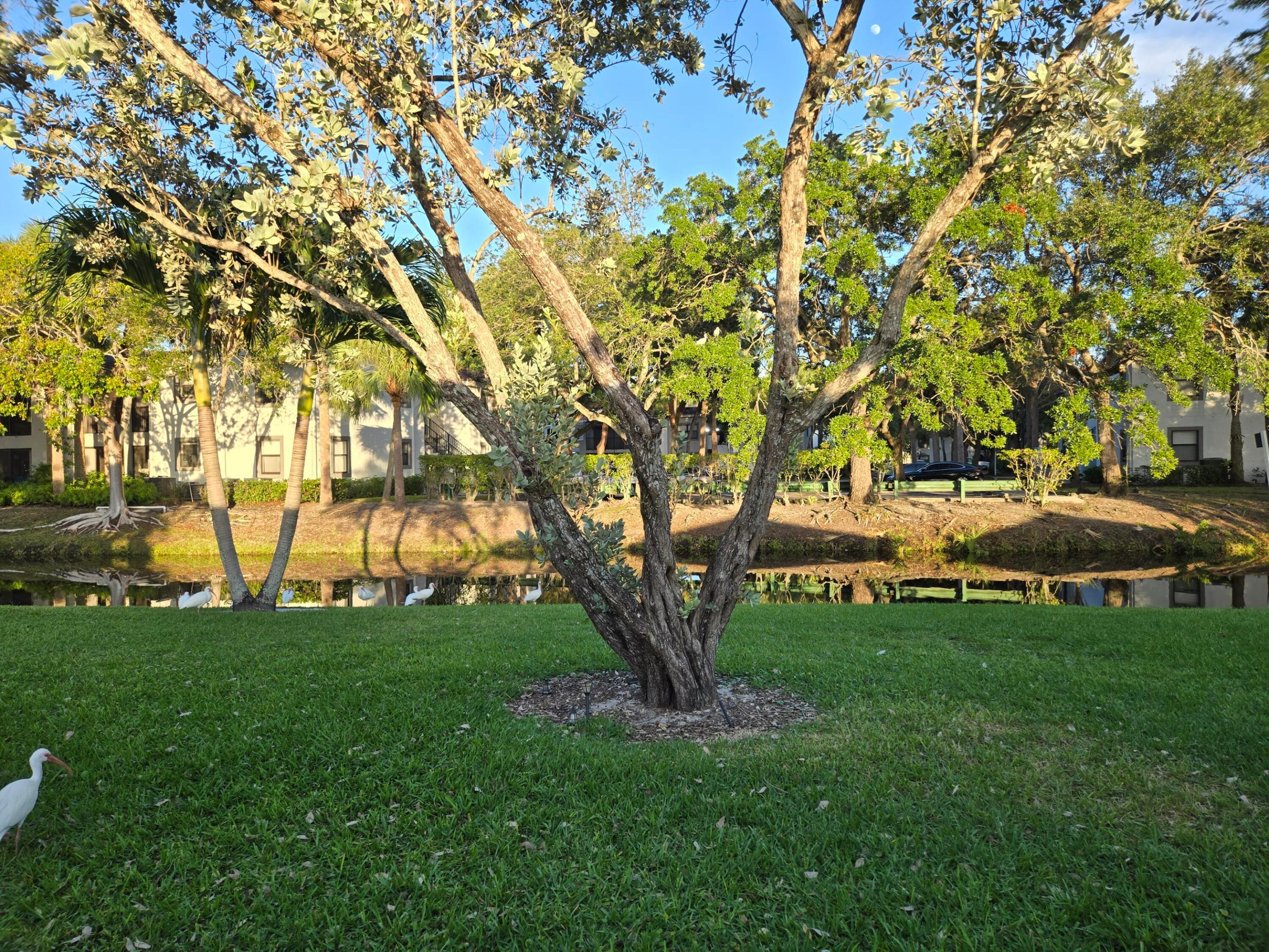 Plantation photo 2