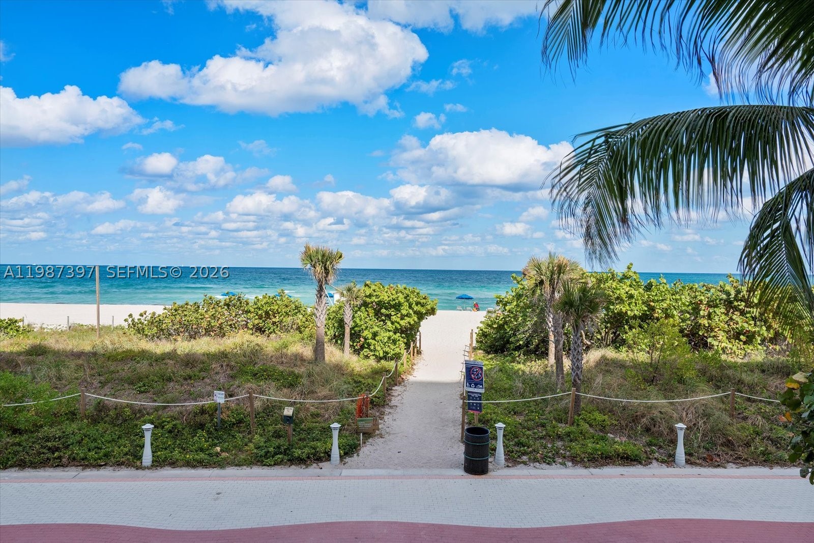 Miami Beach photo 3