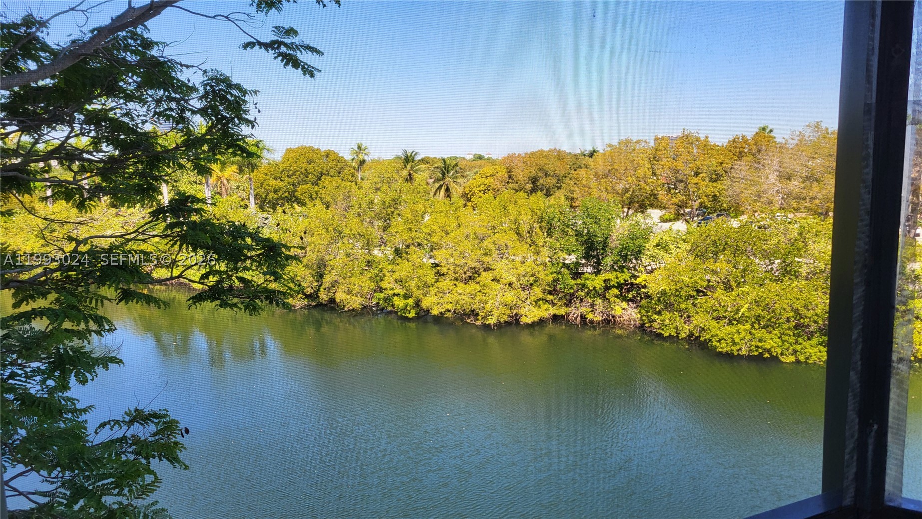 Aventura photo 4