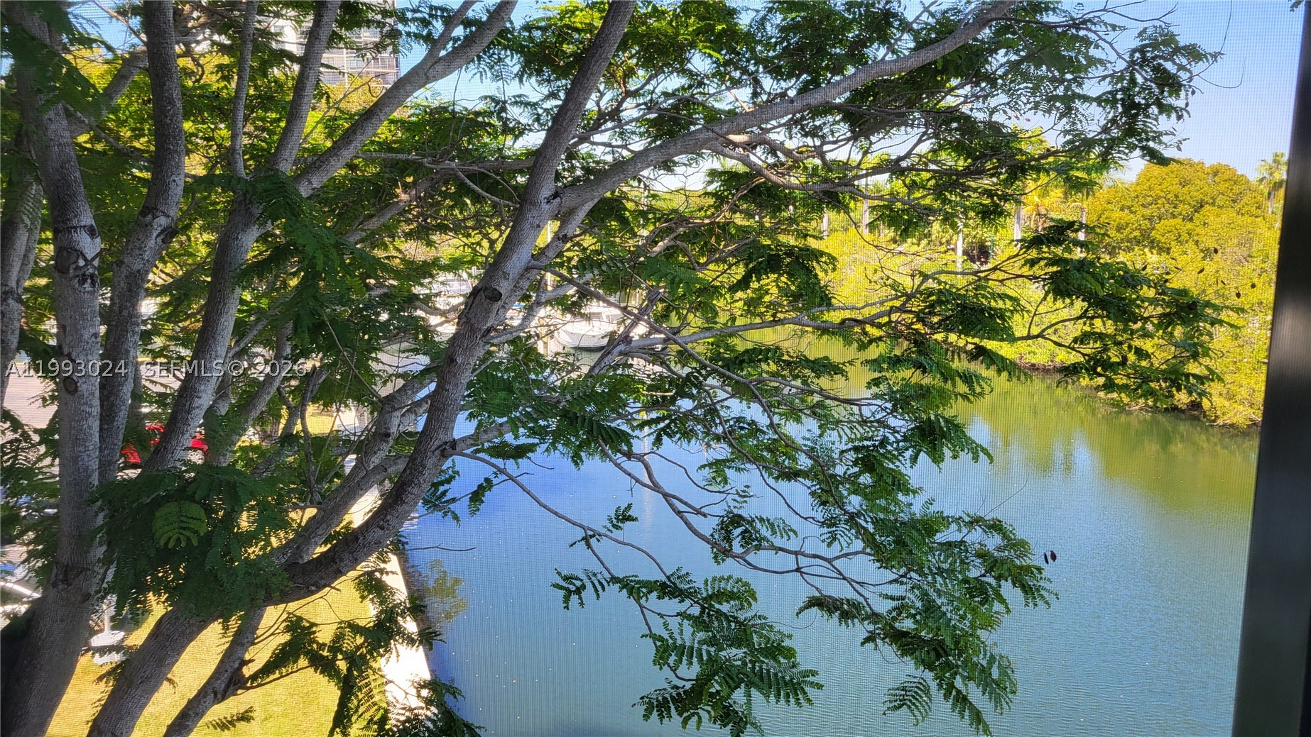 Aventura photo 5
