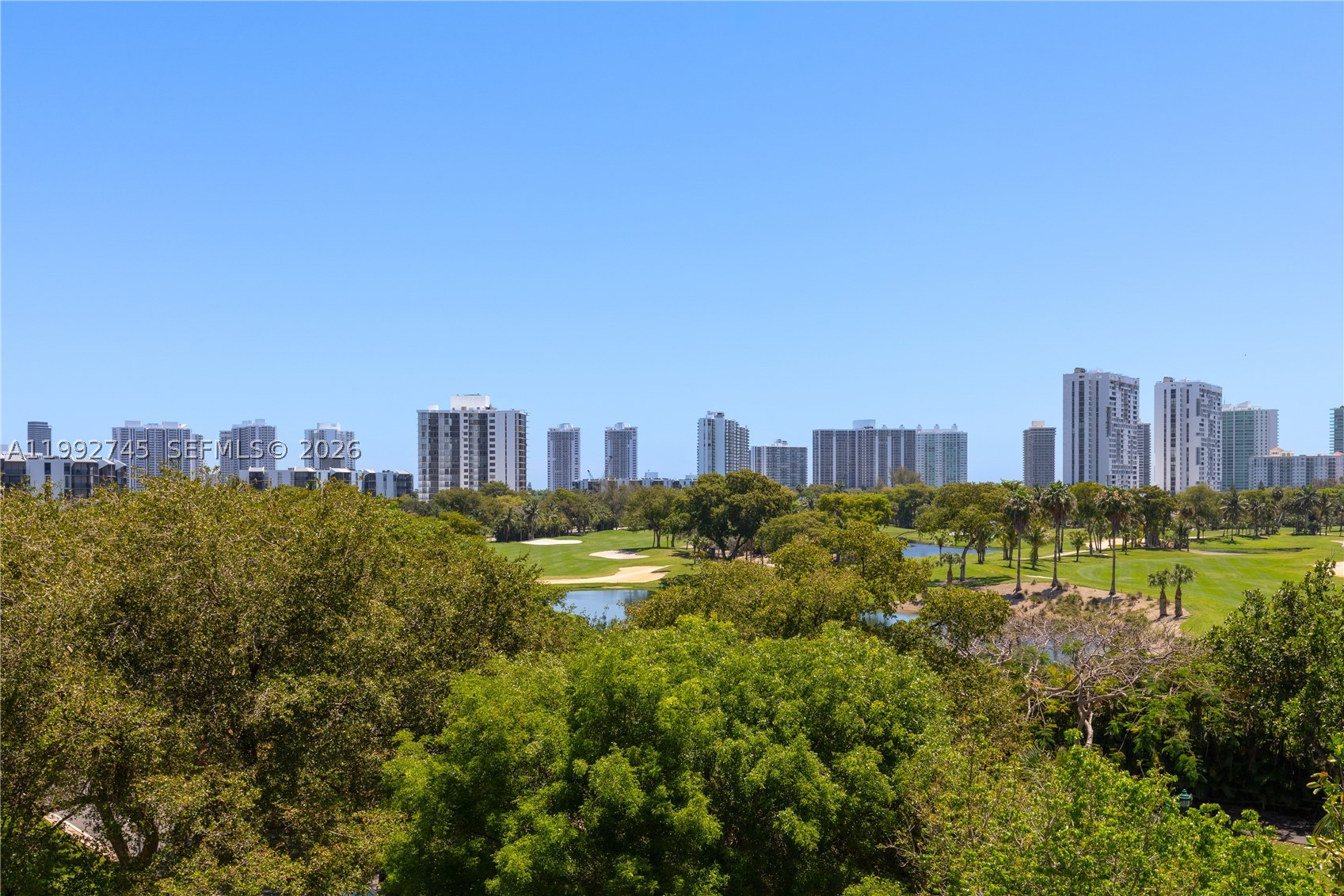 Aventura photo 3