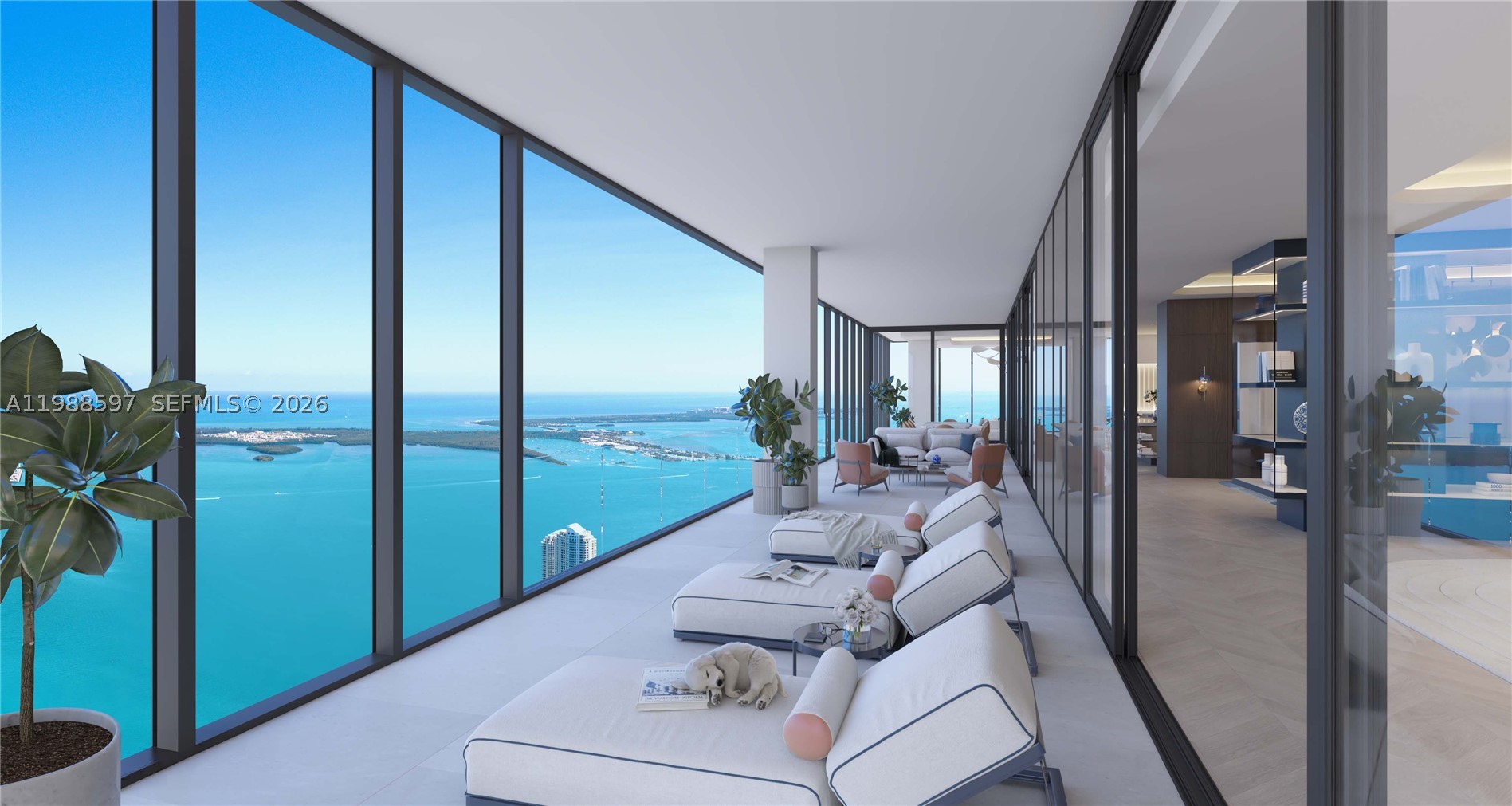 Miami photo 4